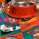 Capa Pet Protetora Para Banco Traseiro Impermeável e Lavável