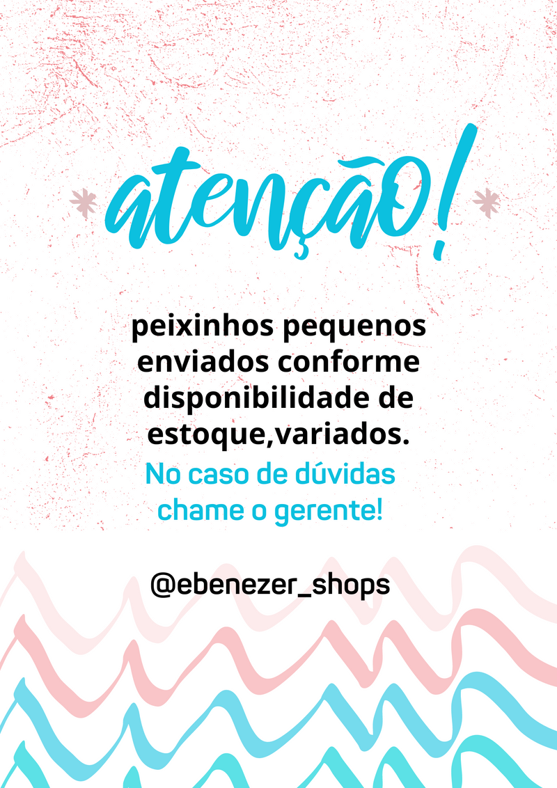 Brinquedo Boneco Tubarão Baby Fish Várias Cores Bee Toys
