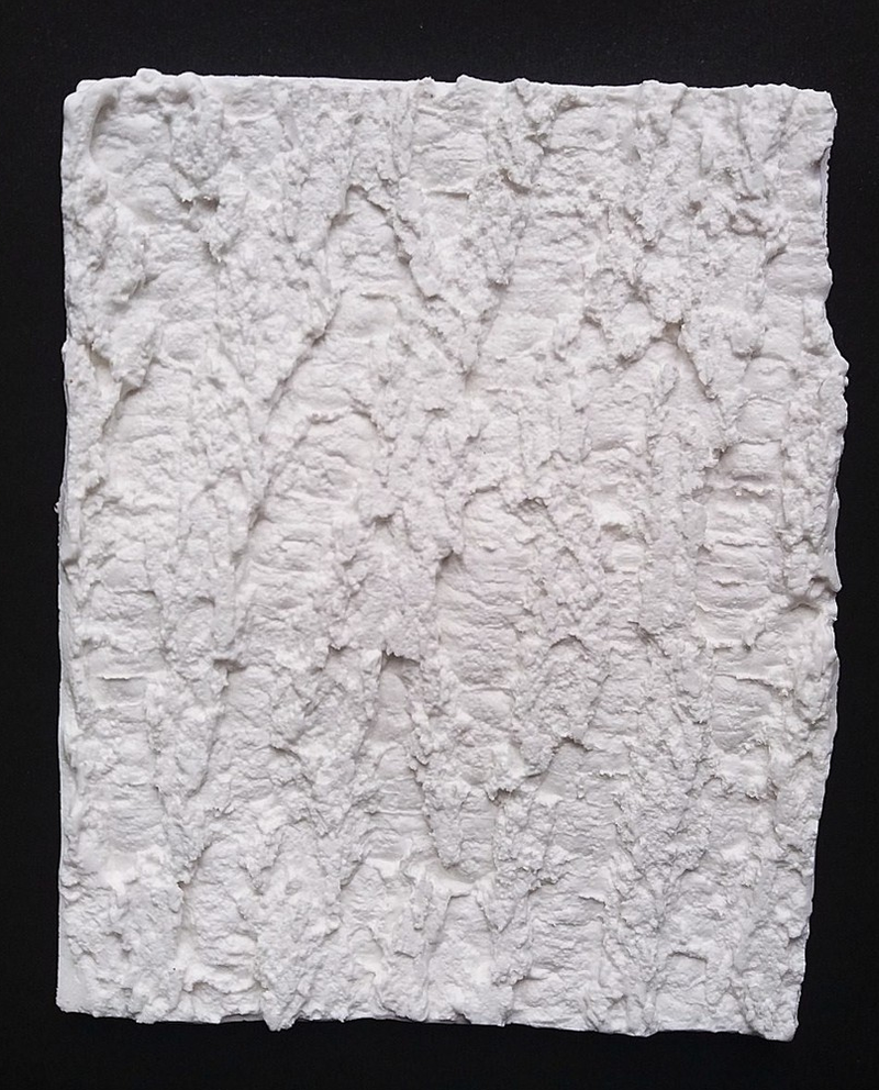 Molde de Silicone Para Confeitaria e Biscuit Casca de Árvore